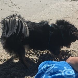 Meet your Posher, Ivey